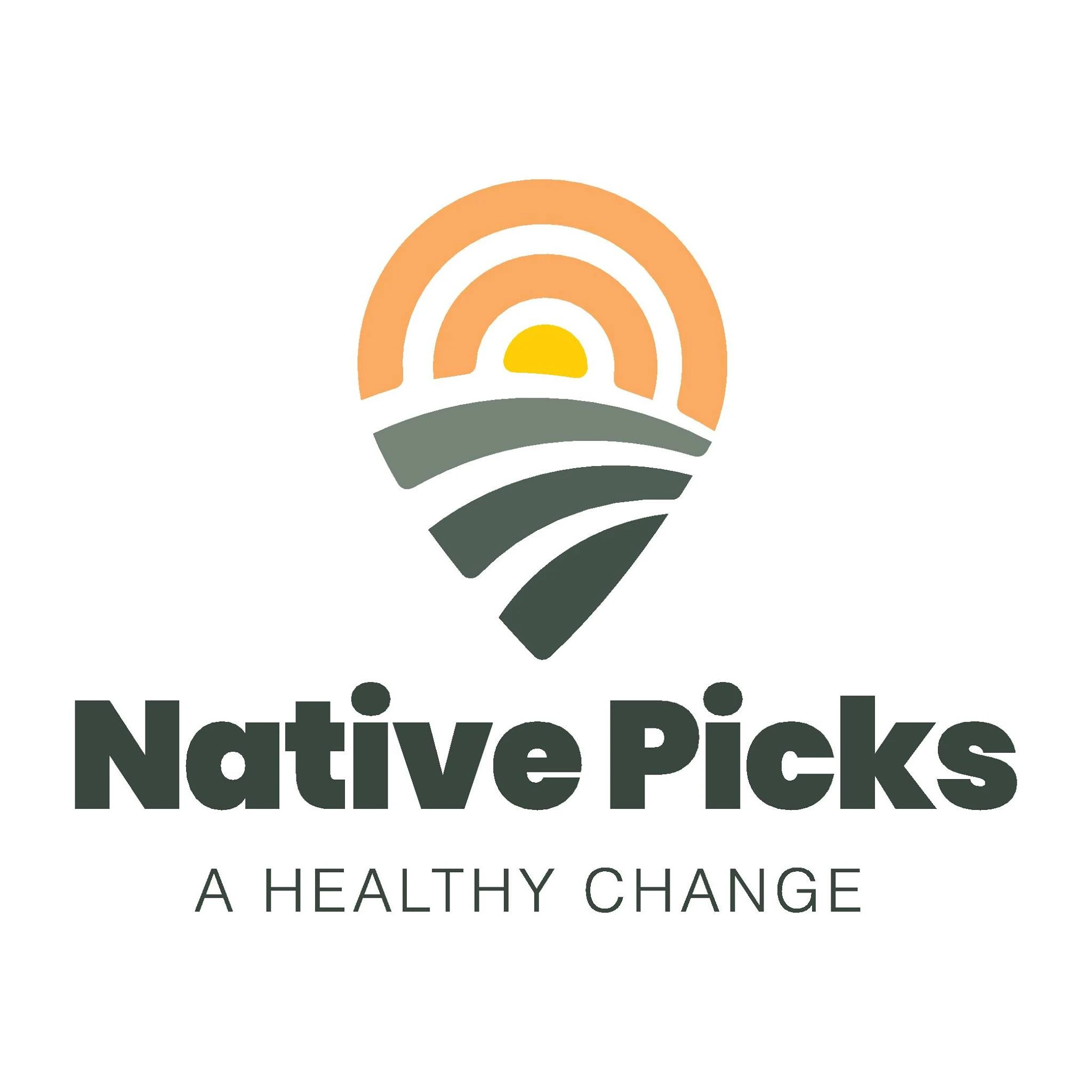 Native Picks Logo